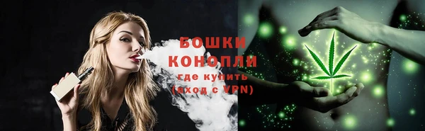 тгк Карпинск