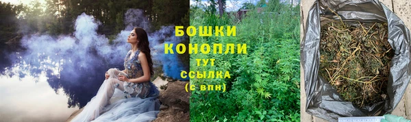прущие крисы Касимов