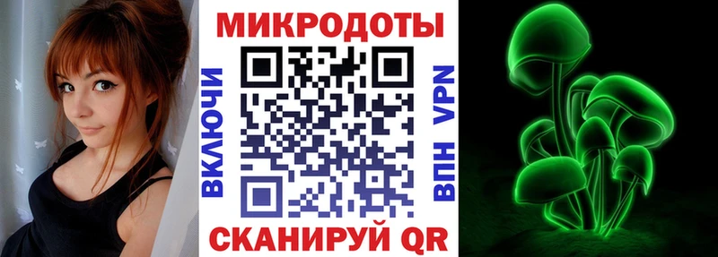 Галлюциногенные грибы Cubensis  Купить где  Белинский 